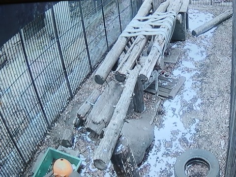 20260208_162607_copy_800x600