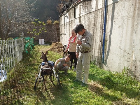 DSC_1552_copy_800x600