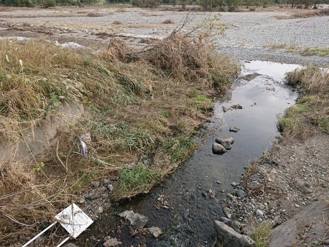 DSC_3442-800x600