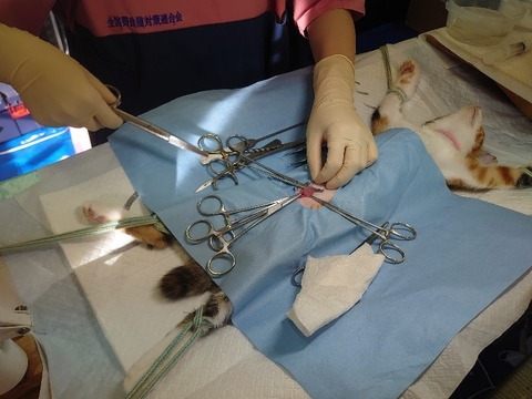 DSC_1657_copy_800x600