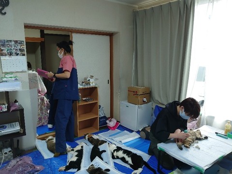 DSC_1043_copy_800x600