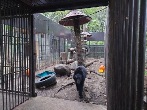 20230421_163555_copy_800x600