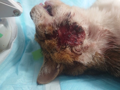 20240313_091040_copy_800x600