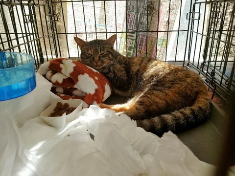 20230228_142539~2_copy_800x600