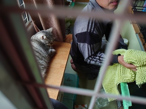 DSC_1692_copy_800x600