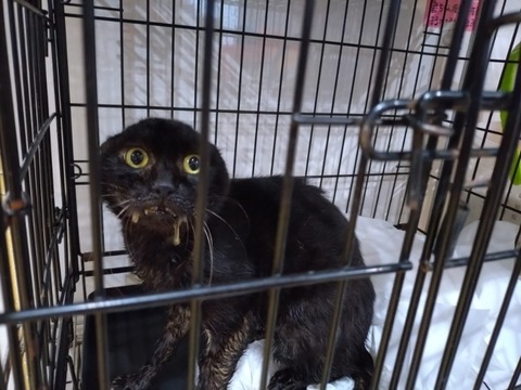 20251208_080154_copy_800x600