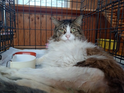 20260316_140005_copy_800x600