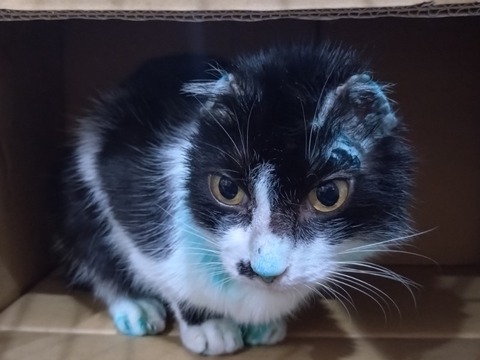 20260222_085423_copy_800x600