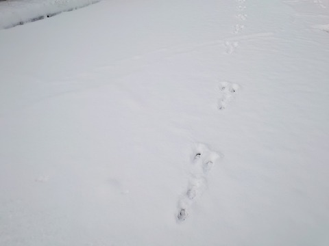 DSC_3347_copy_800x600