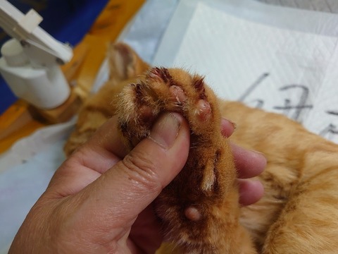 DSC_1653_copy_800x600