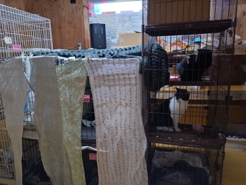 20251223_080611_copy_800x600_1