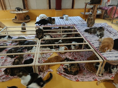 DSC_6383_copy_800x600