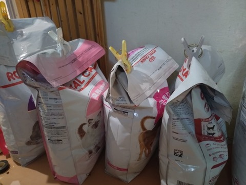 20250726_180243_copy_800x600