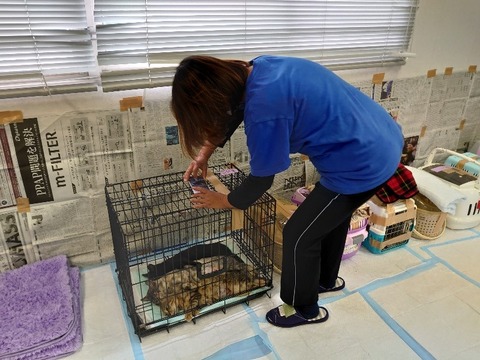 DSC_1683_copy_800x600