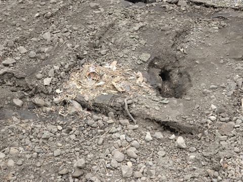20260503_140544_copy_800x600