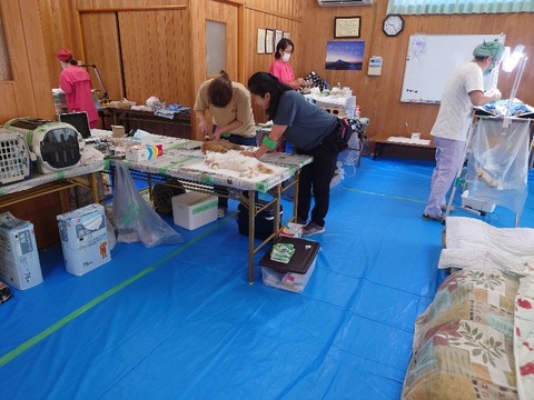 20231025_092620_copy_800x600