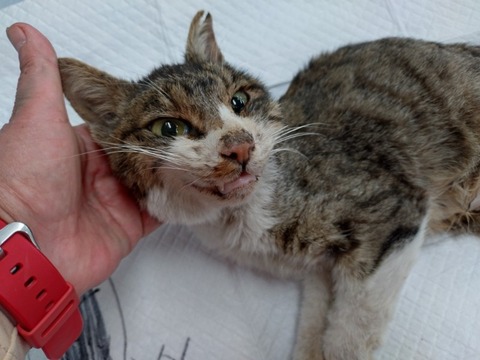 20251221_103417_copy_800x600