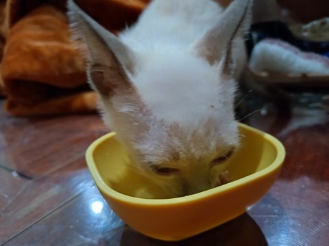 20251216_204342_copy_800x600