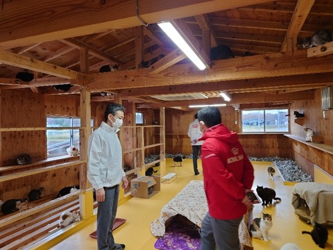 20221130_141628_copy_800x600