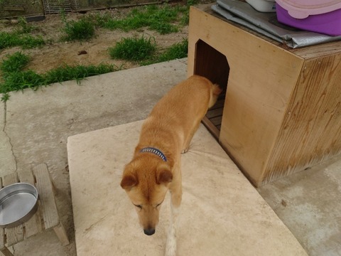 20230606_140603_copy_800x600