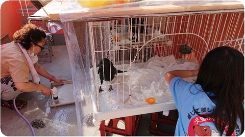 DSCPDC_0001_BURST20181117101