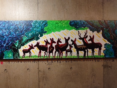 DSC_0330_copy_800x600