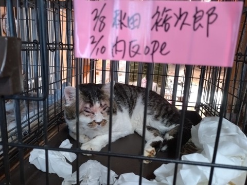 20260212_091343_copy_800x600