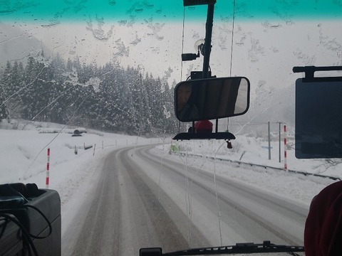 20240314_074951_copy_800x600