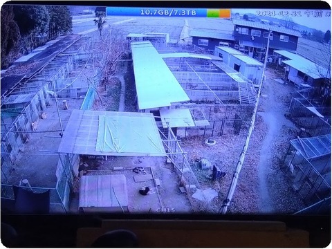 20241231_075301 (1)