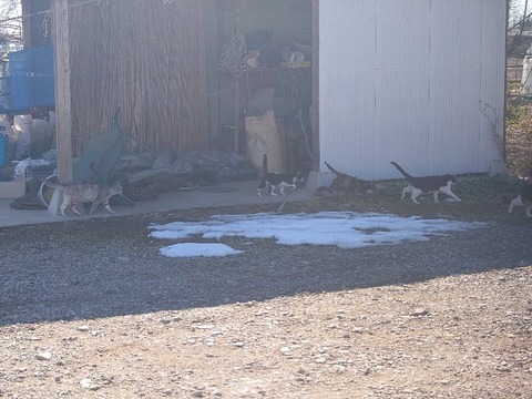 20240213_112523_copy_800x600
