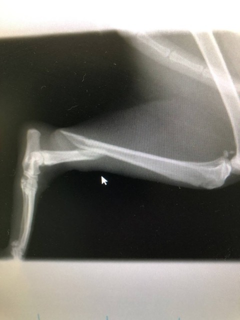 1606819219625_copy_600x800