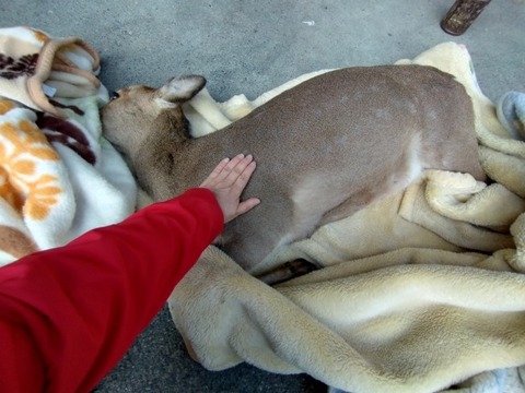 20250223_082931_copy_652x489