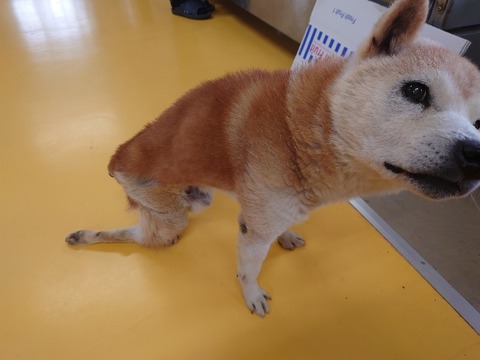 20240305_140023_copy_800x600