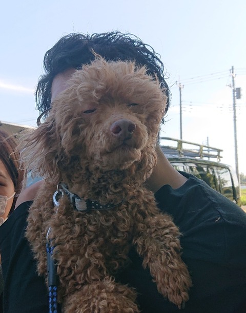 DSC_6893_copy_600x764