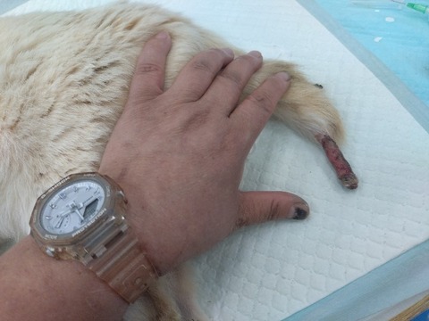 20240521_093150_copy_800x600