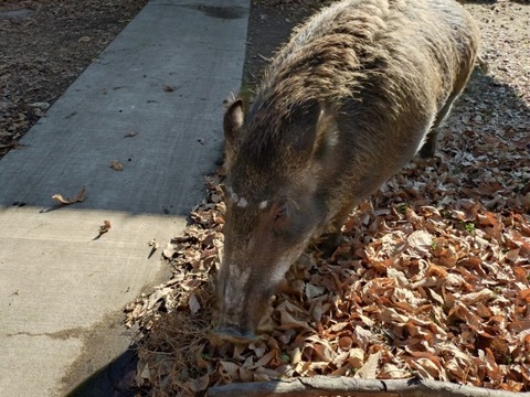 20260105_114041_copy_800x600