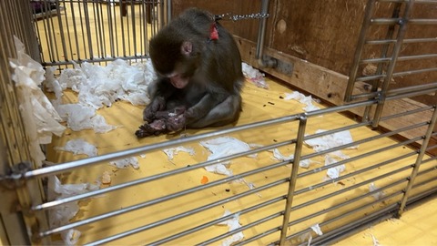 1765873003259_copy_853x480