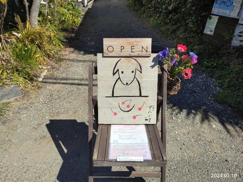 1710068545609_copy_800x600