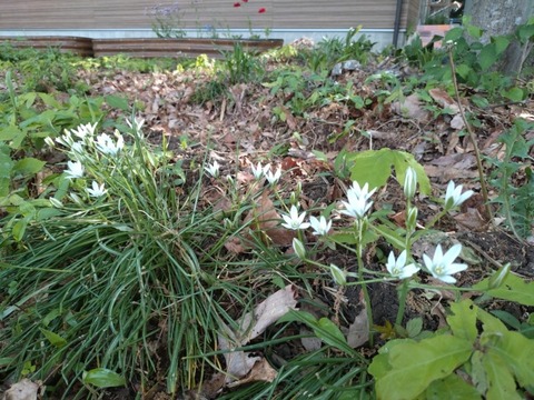 20260508_080102_copy_800x600