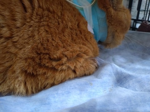 20260222_084237_copy_800x600