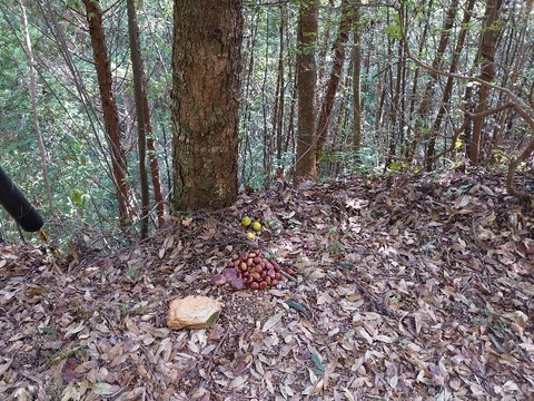 DSC_1306_copy_800x600