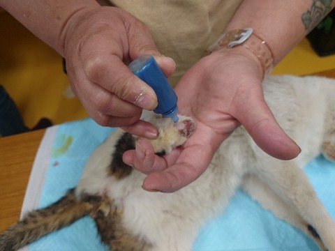 20240312_095948_copy_800x600