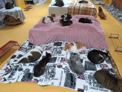 20260116_165306_copy_800x600