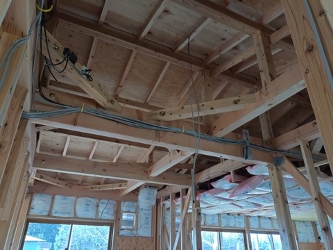 20260105_110934_copy_800x600