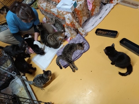 20260304_081239_copy_800x600