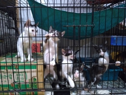 20251024_185443_copy_800x600_copy_800x600