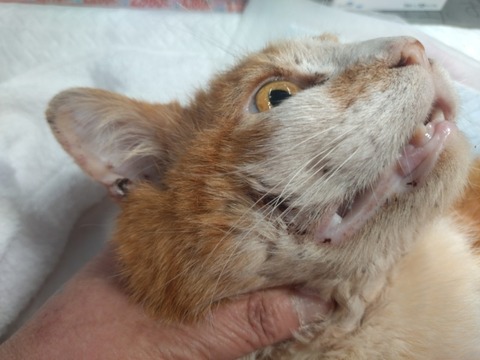 20260120_153915_copy_800x600