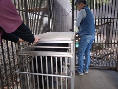 20251106_072732_copy_800x600