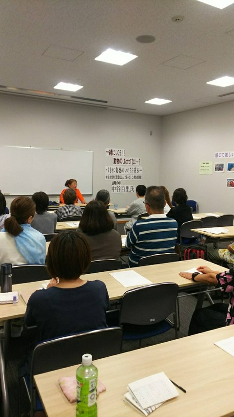 1567480565121-600x1066