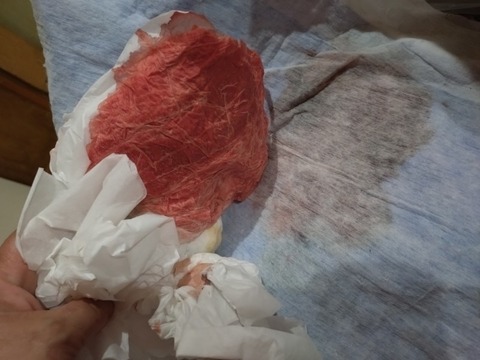 20260126_155115_copy_800x600